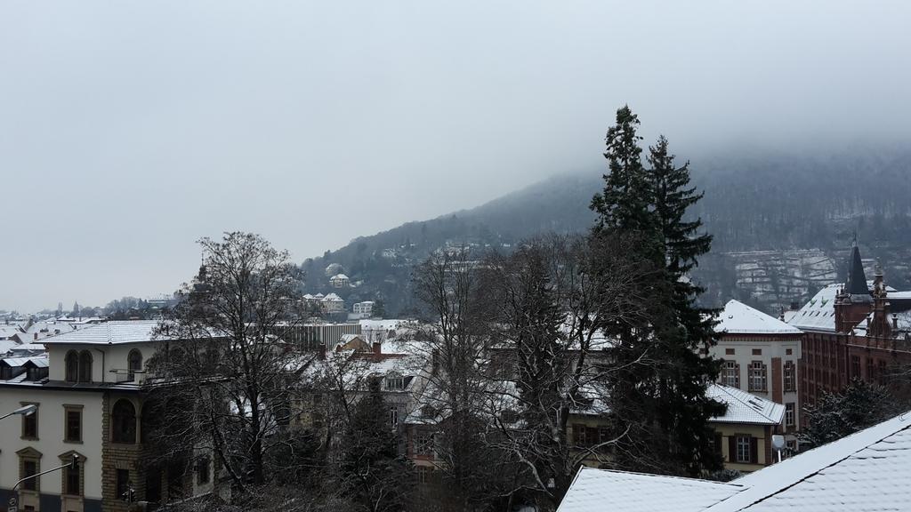 Altstadtblick Heidelberg Eksteriør bilde